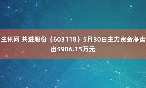 生讯网 共进股份（603118）5月30日主力资金净卖出5906.15万元