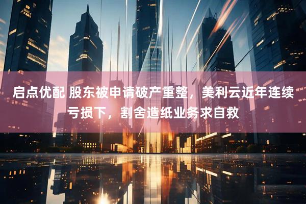启点优配 股东被申请破产重整，美利云近年连续亏损下，割舍造纸业务求自救