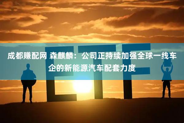 成都赚配网 森麒麟：公司正持续加强全球一线车企的新能源汽车配套力度