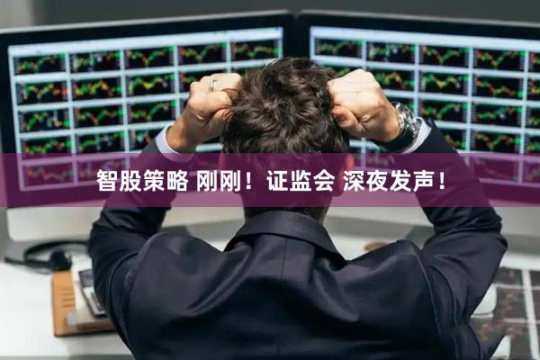 智股策略 刚刚！证监会 深夜发声！