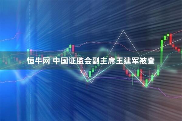 恒牛网 中国证监会副主席王建军被查