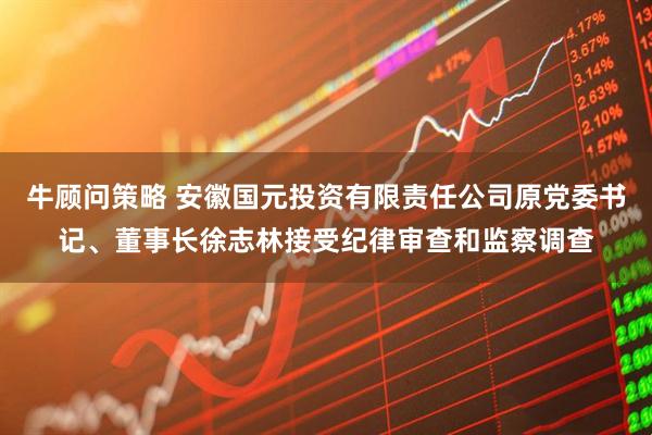 牛顾问策略 安徽国元投资有限责任公司原党委书记、董事长徐志林接受纪律审查和监察调查